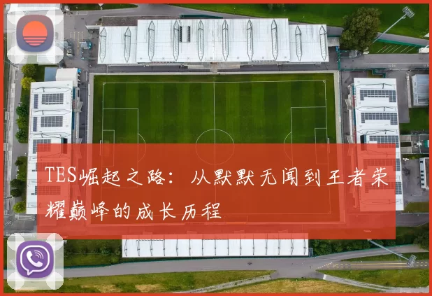 TES崛起之路：从默默无闻到王者荣耀巅峰的成长历程