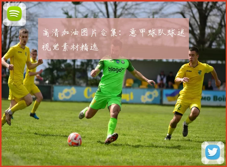 高清加油图片合集：意甲球队球迷视觉素材精选