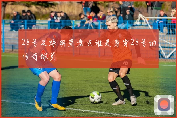 28号足球明星盘点谁是身穿28号的传奇球员