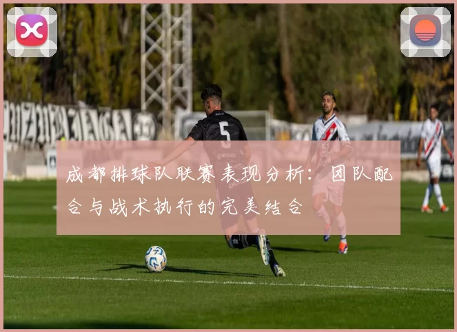 成都排球队联赛表现分析：团队配合与战术执行的完美结合