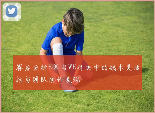 赛后分析EDG与WE对决中的战术灵活性与团队协作表现
