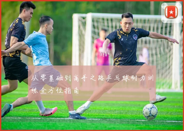从零基础到高手之路乒乓球耐力训练全方位指南