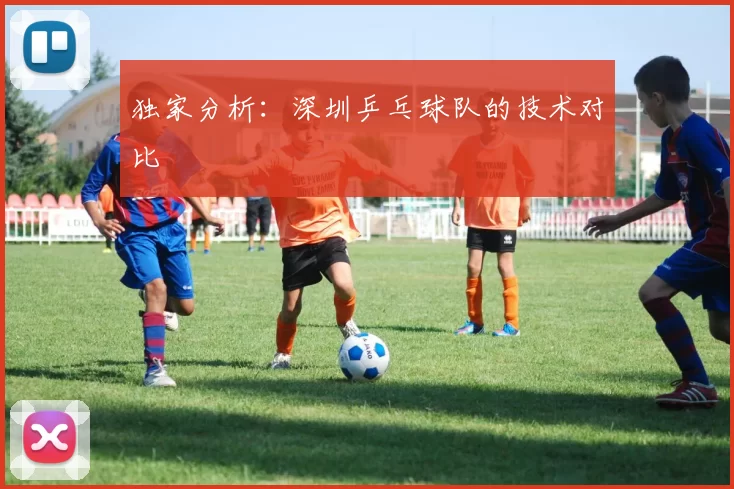 独家分析：深圳乒乓球队的技术对比