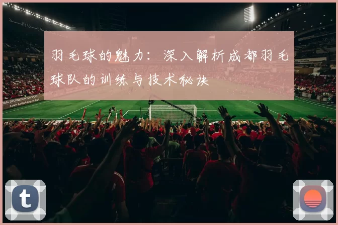 羽毛球的魅力：深入解析成都羽毛球队的训练与技术秘诀