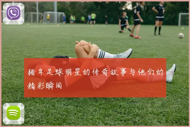 猪年足球明星的传奇故事与他们的精彩瞬间