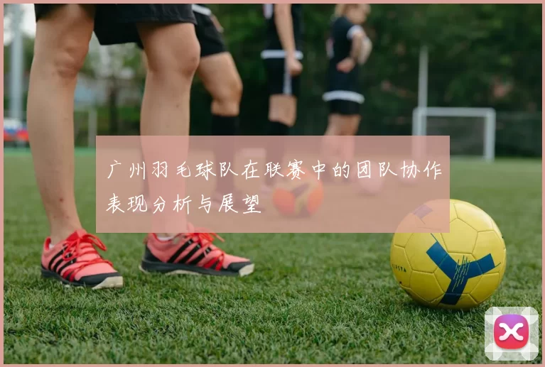广州羽毛球队在联赛中的团队协作表现分析与展望