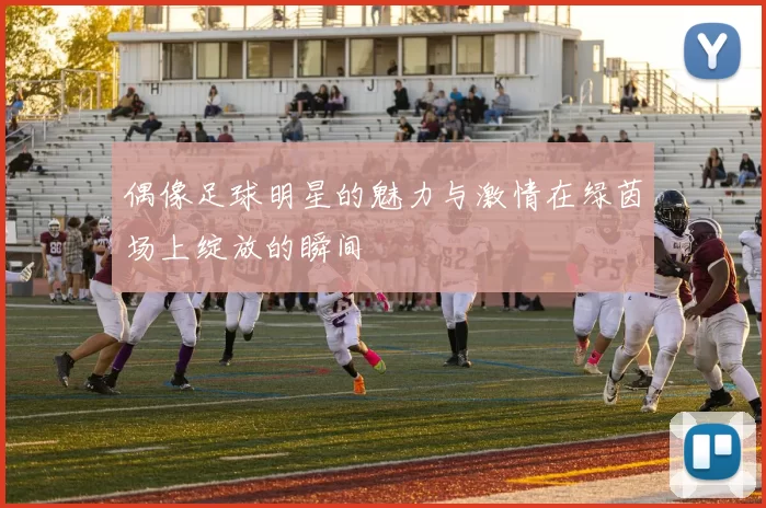 偶像足球明星的魅力与激情在绿茵场上绽放的瞬间
