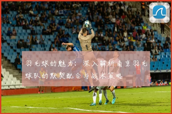 羽毛球的魅力：深入解析南京羽毛球队的默契配合与战术策略
