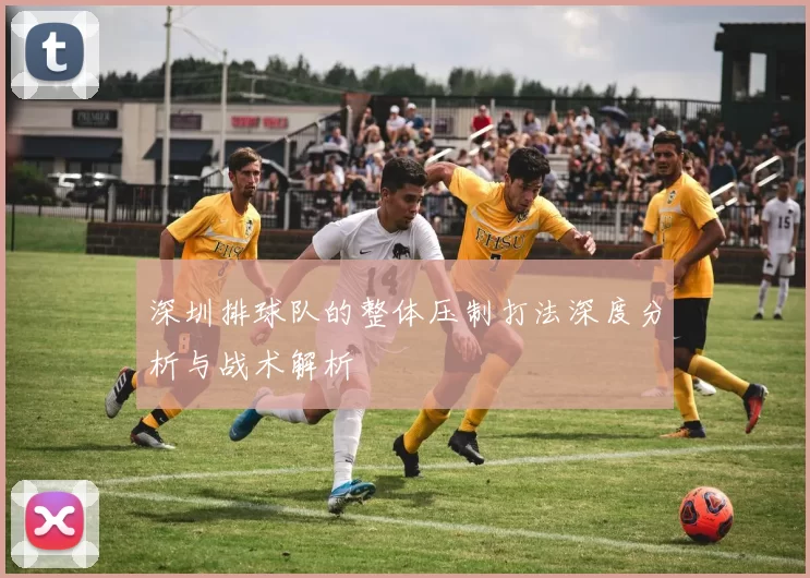 深圳排球队的整体压制打法深度分析与战术解析