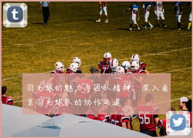 羽毛球的魅力与团队精神：深入南京羽毛球队的协作之道