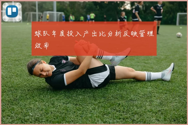 球队年度投入产出比分析反映管理效率