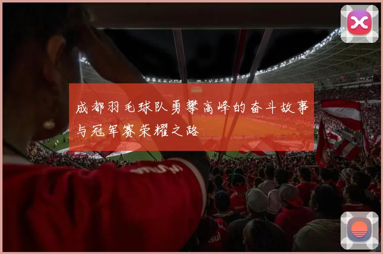 成都羽毛球队勇攀高峰的奋斗故事与冠军赛荣耀之路