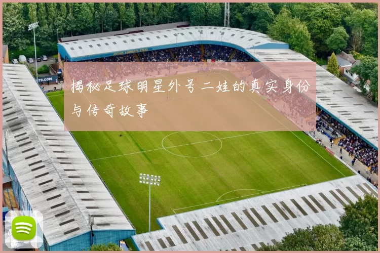 揭秘足球明星外号二娃的真实身份与传奇故事