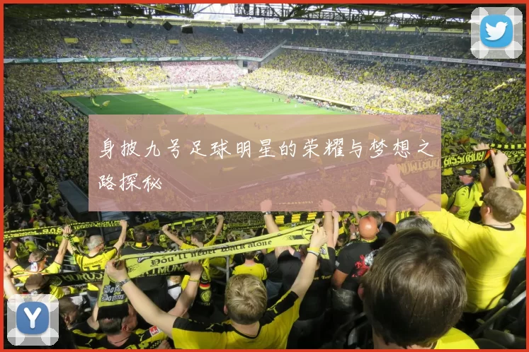 身披九号足球明星的荣耀与梦想之路探秘