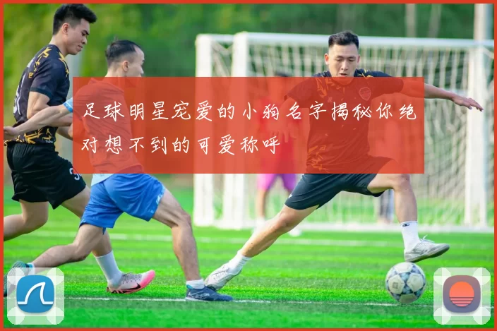 足球明星宠爱的小狗名字揭秘你绝对想不到的可爱称呼