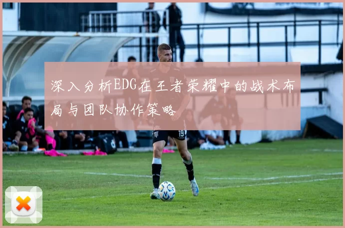 深入分析EDG在王者荣耀中的战术布局与团队协作策略