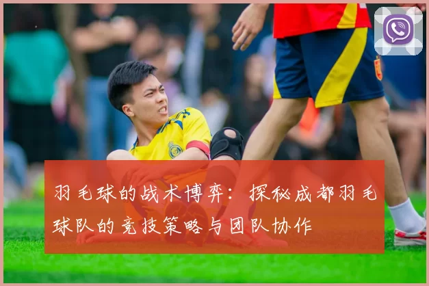 羽毛球的战术博弈：探秘成都羽毛球队的竞技策略与团队协作