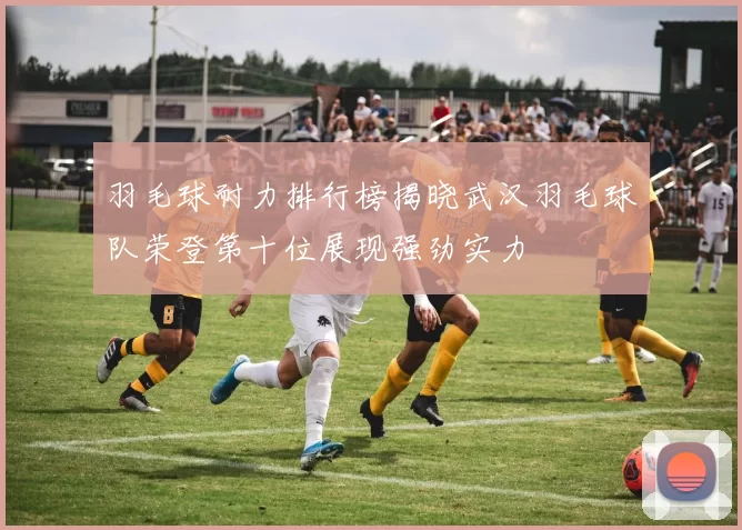 羽毛球耐力排行榜揭晓武汉羽毛球队荣登第十位展现强劲实力