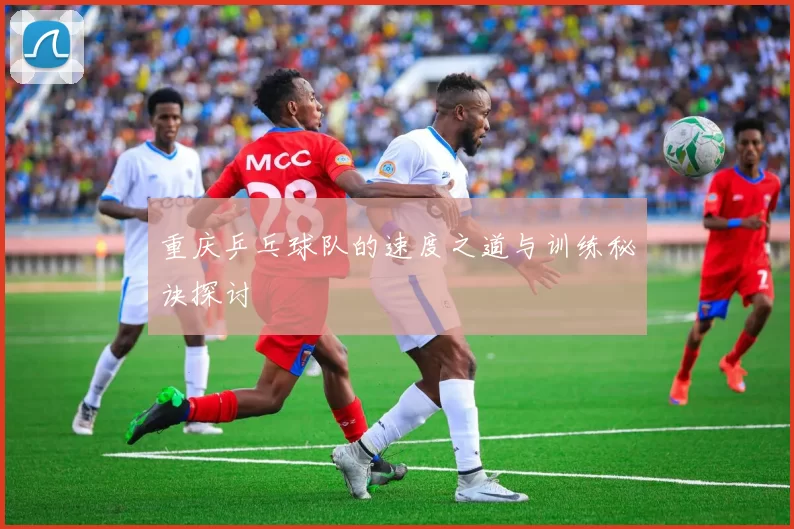 重庆乒乓球队的速度之道与训练秘诀探讨