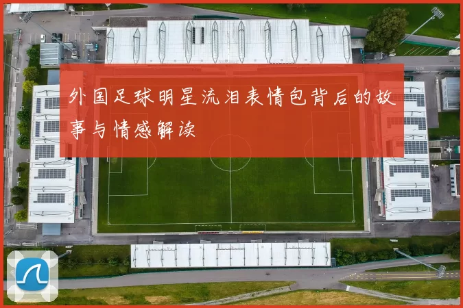 外国足球明星流泪表情包背后的故事与情感解读