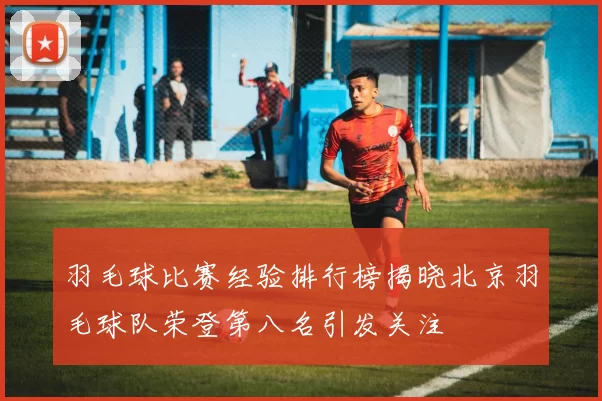 羽毛球比赛经验排行榜揭晓北京羽毛球队荣登第八名引发关注