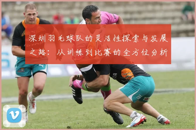 深圳羽毛球队的灵活性探索与发展之路：从训练到比赛的全方位分析