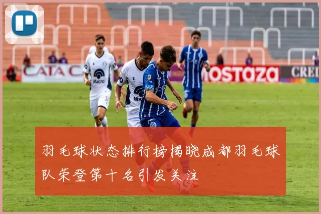 羽毛球状态排行榜揭晓成都羽毛球队荣登第十名引发关注