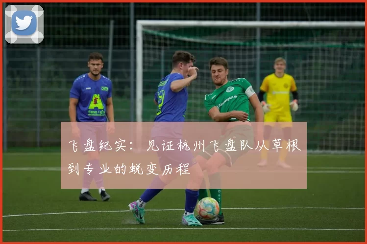 飞盘纪实：见证杭州飞盘队从草根到专业的蜕变历程